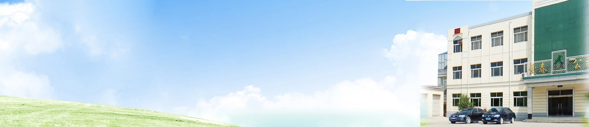 �ӱ�����ɢ�����������ι�˾